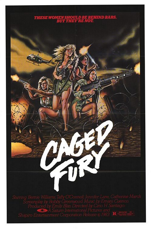 C - POSTER - CAGED FURY.jpg