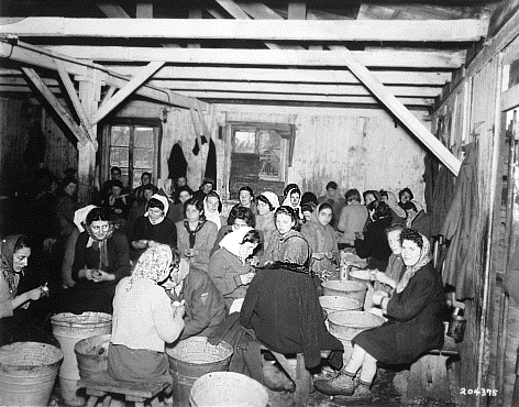 archiwalne fotogr... - Women survivors in Bergen-Belsen concentration camp peel potatoes on April 28, 1945.1.gif
