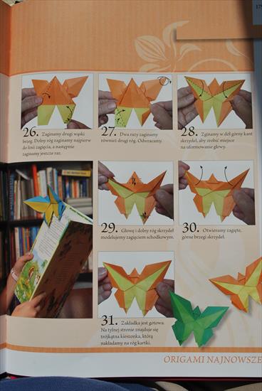 Księga origami - DSC_0216.JPG