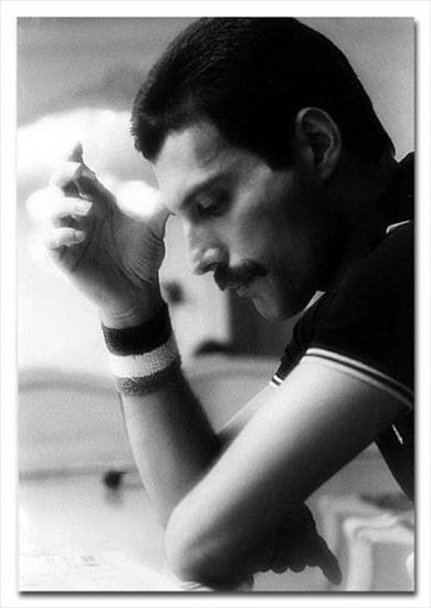  Freddie Mercury - Freddie Mercury.jpg
