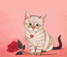 kotki - kotek z różą 4.gif