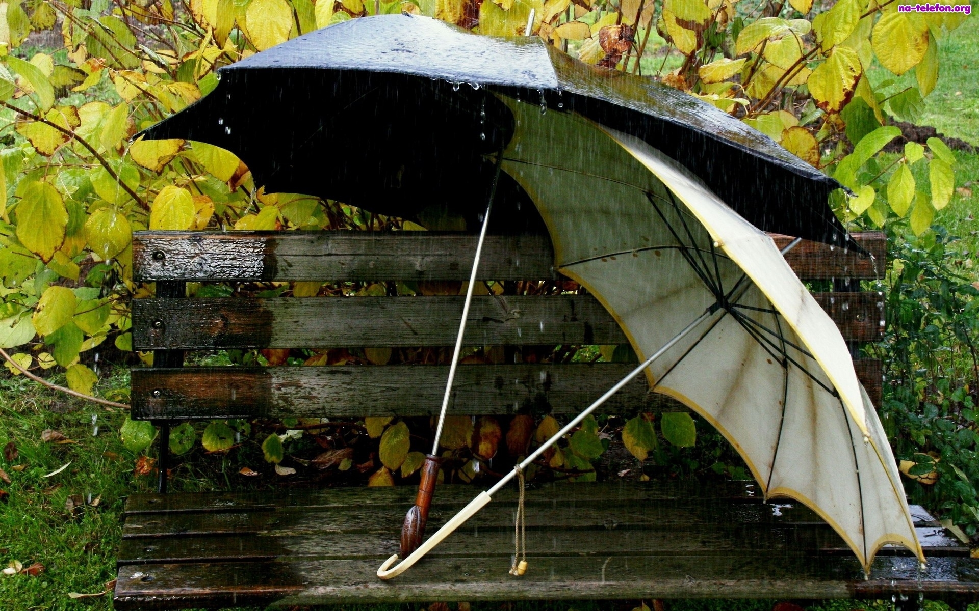  Moje wpisy dla przyjaciół - parasole-deszcz-awka.jpeg