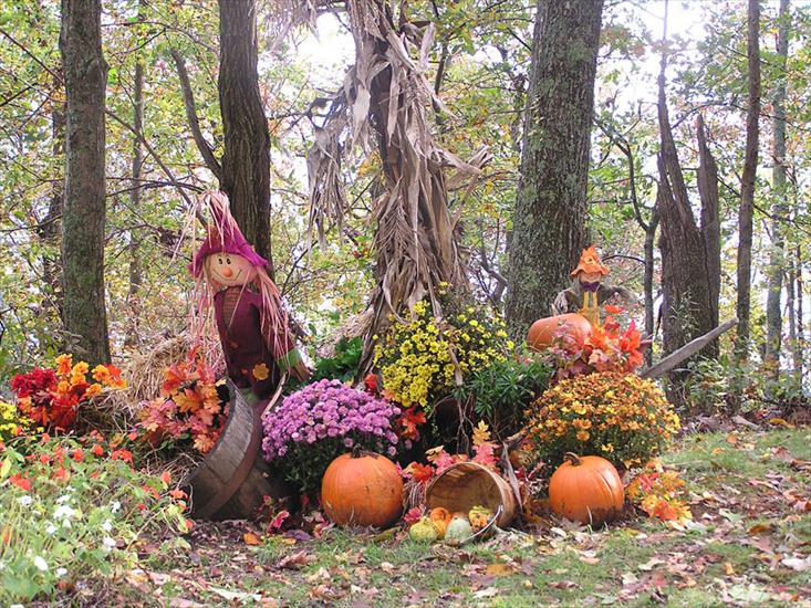  Jesień - scarecrow03.jpg