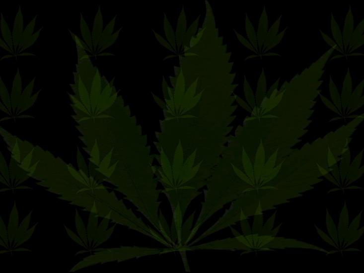 Tapety marihuana - ganjawallpaper.jpg