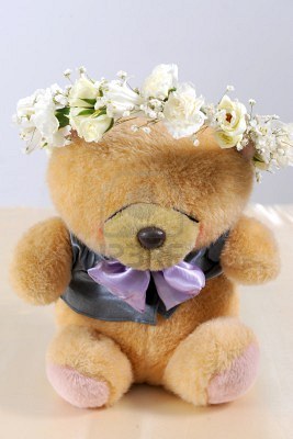 AAA Nasze ukochane Misie Pluszowe - 10963151-cute-teddy-bear-at-isolated-white-background.jpg