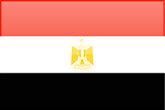 FLAGI 2 - Egypt.png