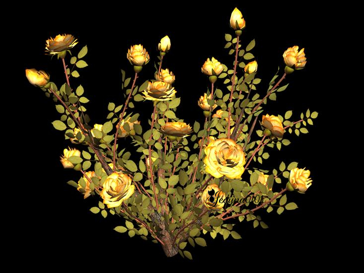 kwiaty - żółta róza-jedyna0101.jpg