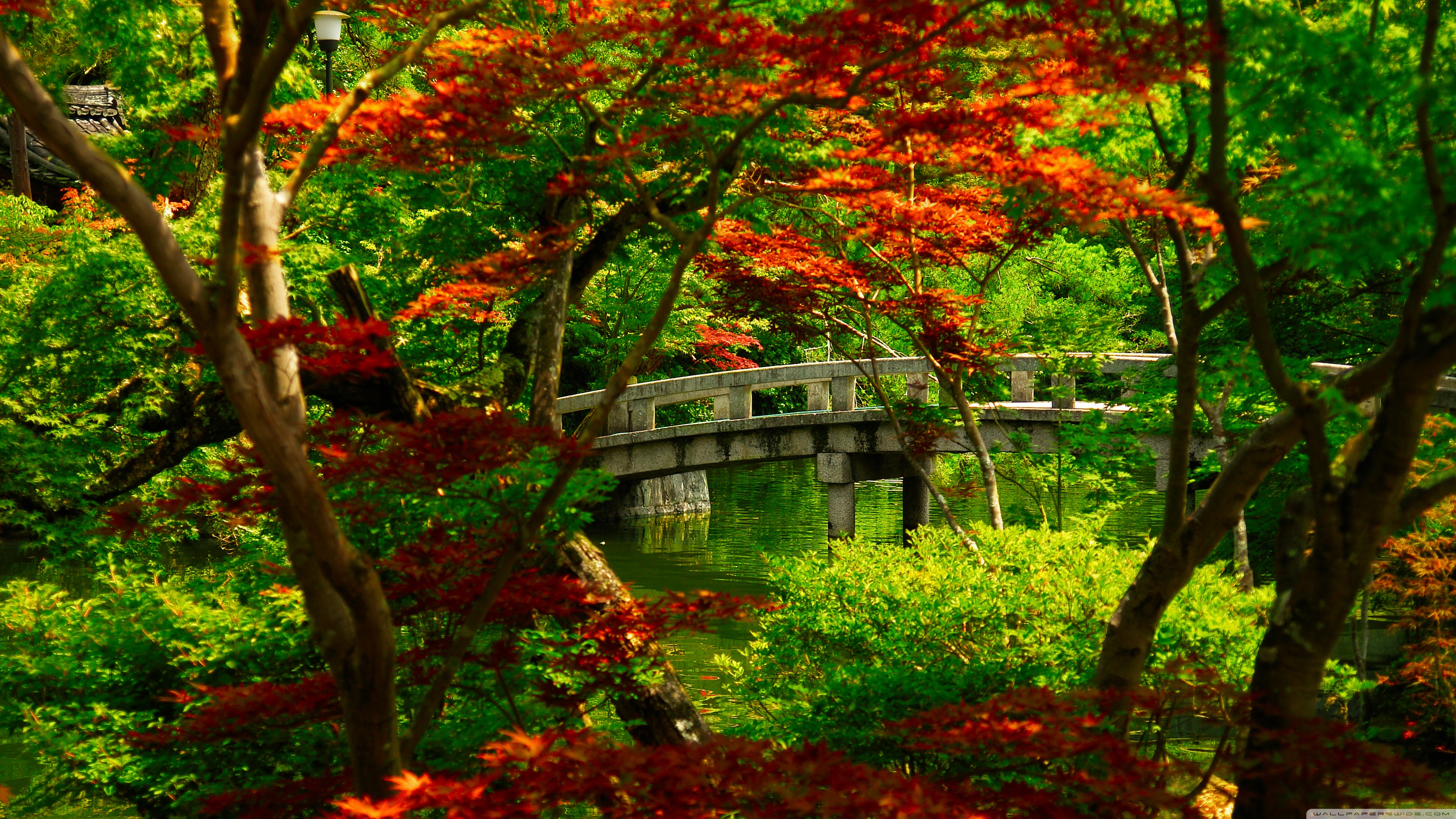 96 Photos and Wallpapers HD - japanese_garden_kyoto-wallpaper-3840x2160.jpg
