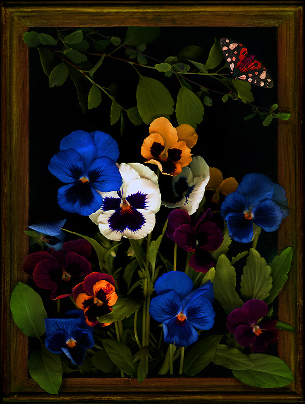 kwiaty - S.jpg