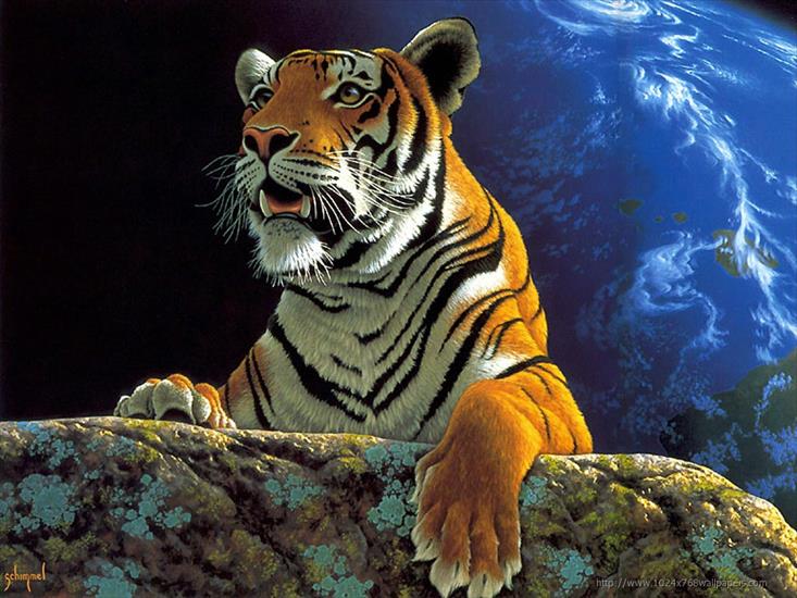 śliczne obrazki - Tiger  7.jpg