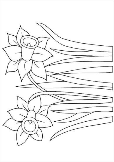 Kolorowanki - kwiat 7.JPG