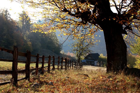  Jesień - landscape--nature--inspiration_large.jpg