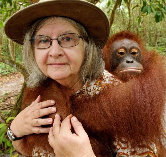Birute Galdikas - badaczka zajmująca się ochroną orangutanów - 2014-08-27-dr_galdikas.jpg