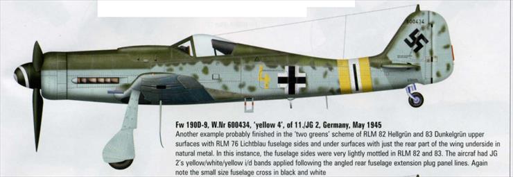 Focke-Wulf - Focke Wulf Fw-190D-9 2.bmp