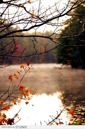 HALO JESIEŃ - stylowi_pl_nauka-i-natura_adorable-autumn-color-colorful_13145616.jpg