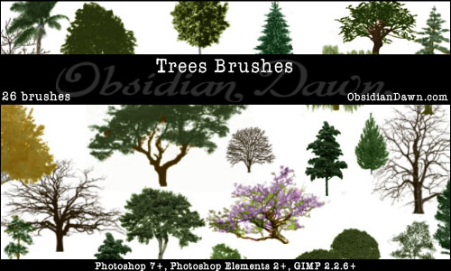 10. Pędzle - Trees_Photoshop_Brushes_by_redheadstock.jpg