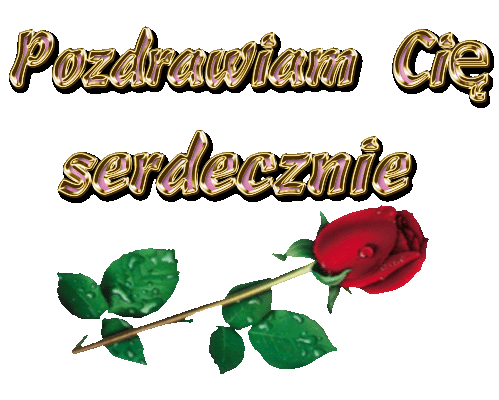 Pozdrawiam___ - Pozdrawiam Cię serdecznie róża.gif