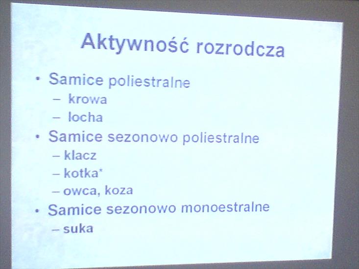 Aspekty płodności samic zdjęcia - DSC00475.JPG