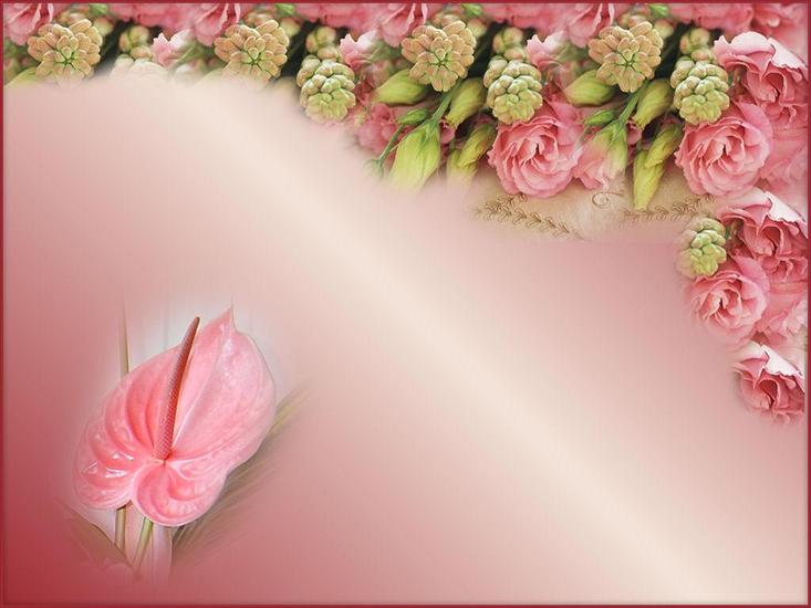 różowe - tło kwiatkowe1.jpg