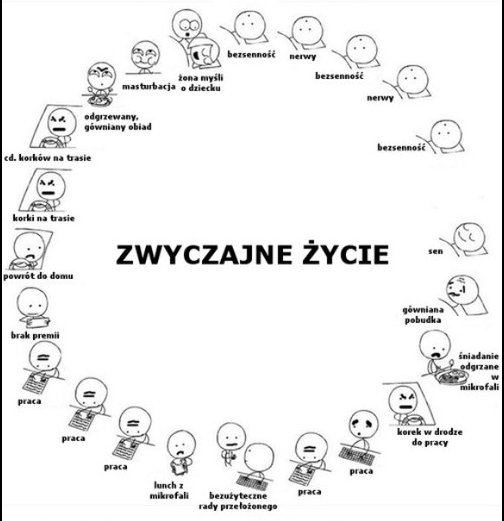 rysunkowe - zwyczajne_życie.jpg