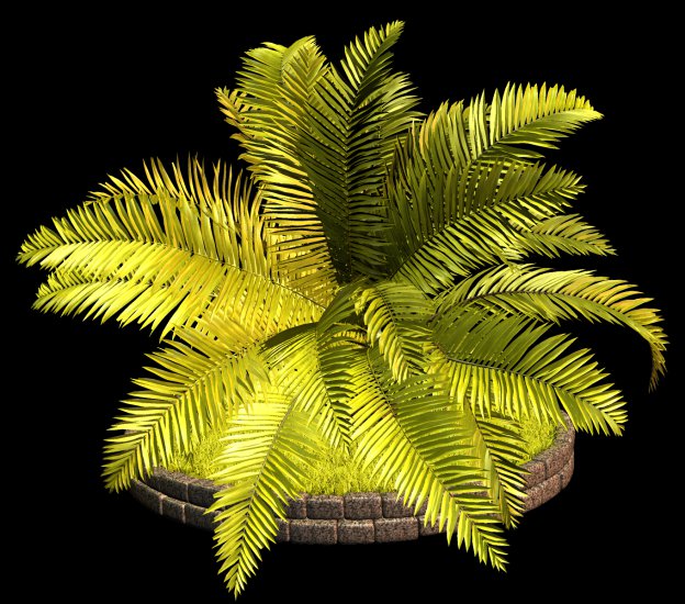 PNG-PALMY 1 - R11 - Palms - 2013 - 022.png