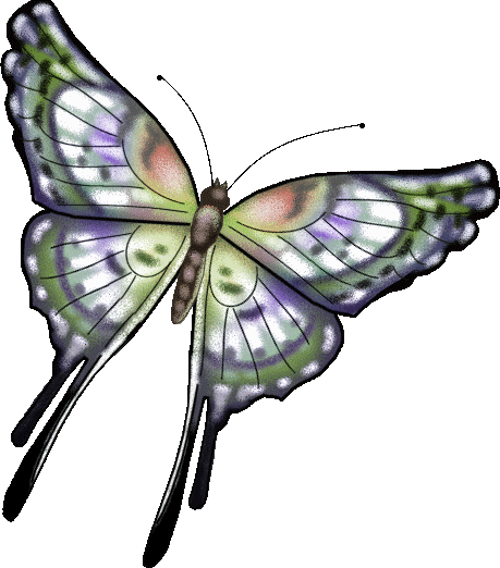 Motyle - motyl 25.png