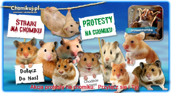  Grafika na chomika - protest baner _czerw kr 2.png