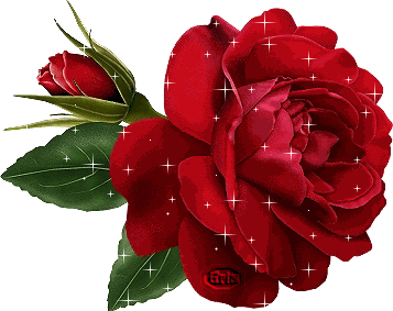 róże - Ruża.GIF