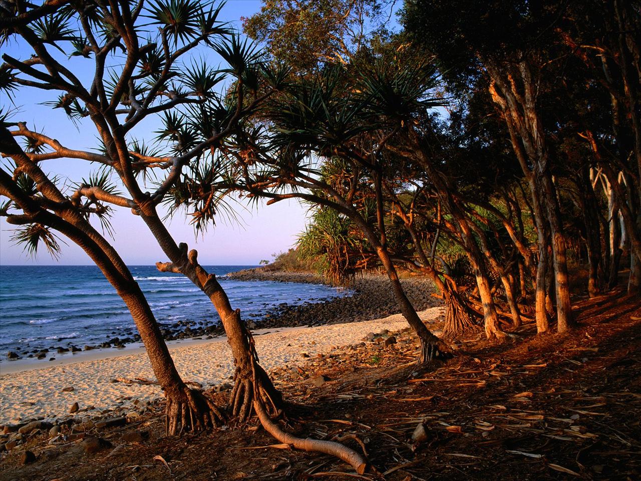 WIDOKI - Tea Tree Beach, Noosa National Park, Queensland, Australia.jpg