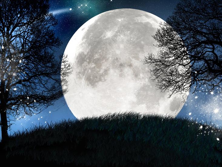 Dobranoc - moonlit_night_by_julielangford-d3asw11.jpg
