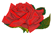 gify nowe kwiaty - rose03.gif