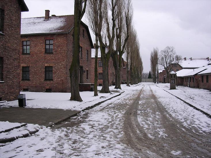 Auschwitz-Birkenau - 066 - Auschwitz-Birkenau.jpg