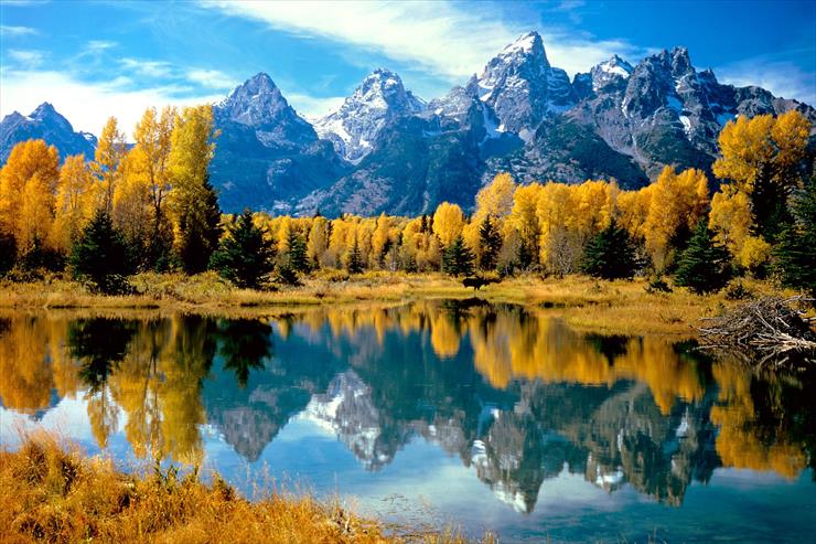 Krajobrazy Natura - Autumn Grandeur, Grand Teton National Park, Wyoming.jpg