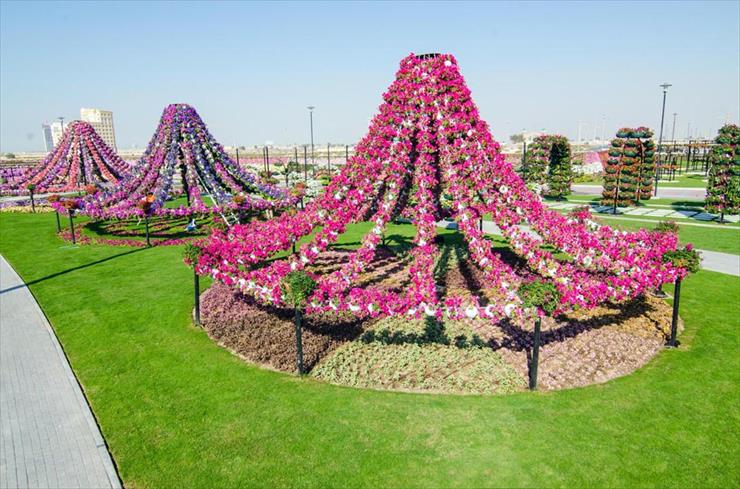 Cudowne ogrody w Dubaju - mracle-016.jpg