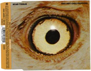 1999 - Scar Tissue Single - folder.jpg
